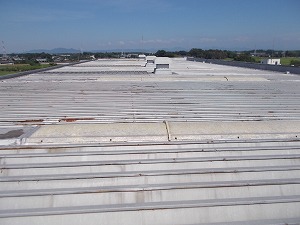 LIXIL koyama CU (1).jpg