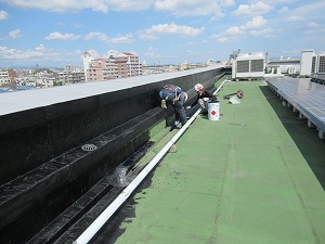 primerIMG_1775.jpg
