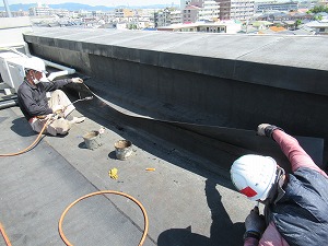 ramkoIMG_1857.jpg