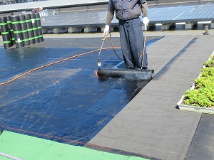 ramkoIMG_1887.jpg